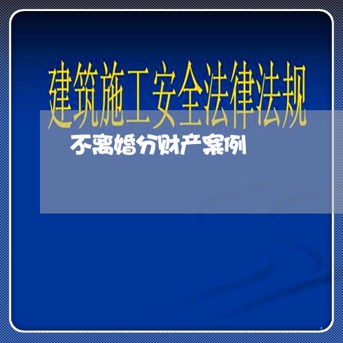 不离婚分财产案例/2023100158361