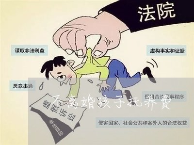 不离婚孩子抚养费/2023100240482