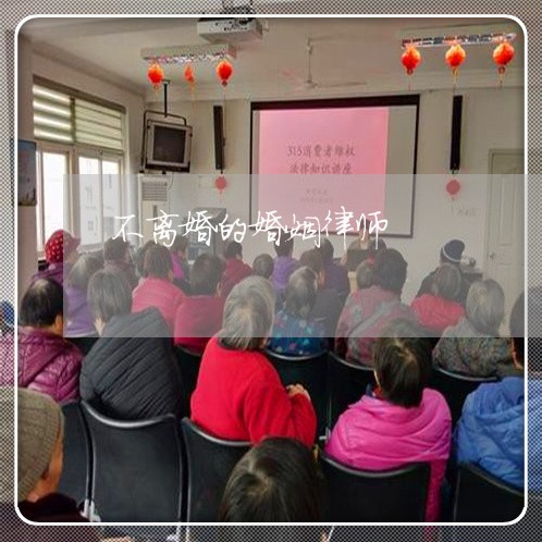 不离婚的婚姻律师/2023081226148