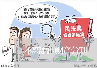 不离婚的财产分割/2023093072713