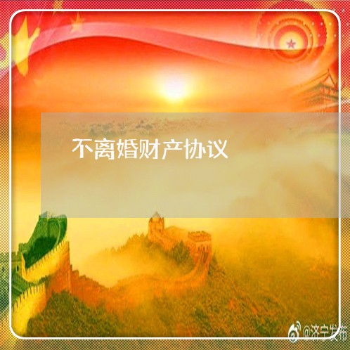 不离婚财产协议/2023121874917