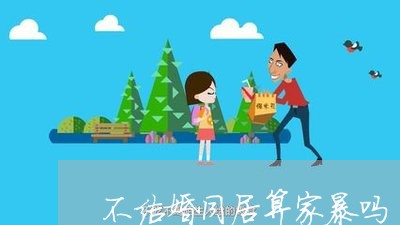 不结婚同居算家暴吗/2023110872491