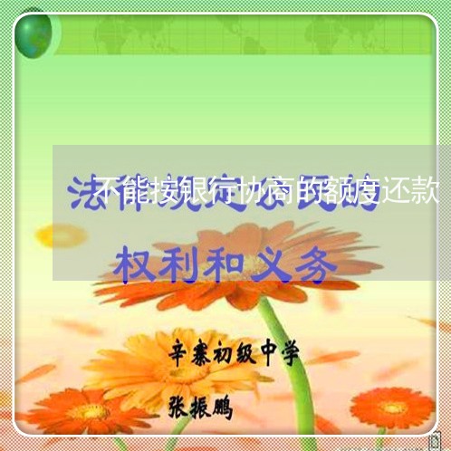 不能按银行协商的额度还款/2023100612595