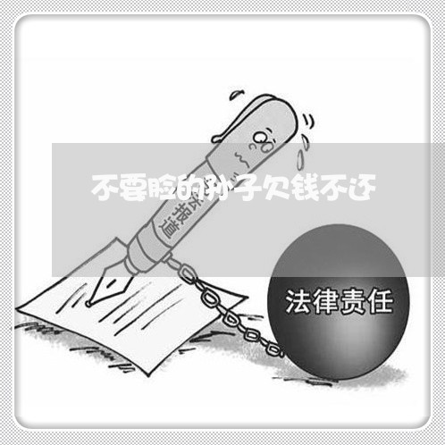 不要脸的孙子欠钱不还/2023112741472