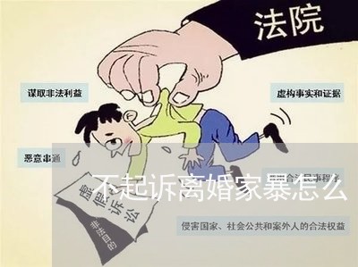 不起诉离婚家暴怎么/2023110484827