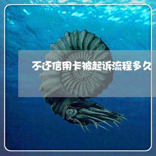 不还信用卡被起诉流程多久/2023082996369