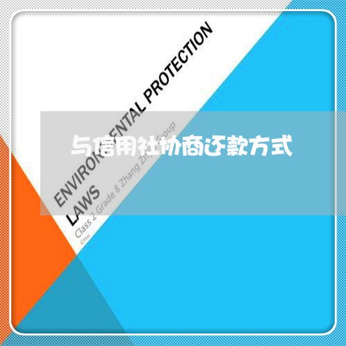 与信用社协商还款方式/2023100605038