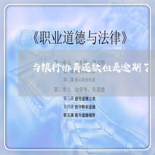 与银行协商还款但是逾期了/2023100504826