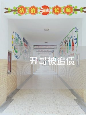 丑哥被追债/2023121709172