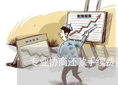 专业协商还款手续费多少/2023092408302