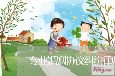 专业婚姻协议纠纷律师费/2023112517349