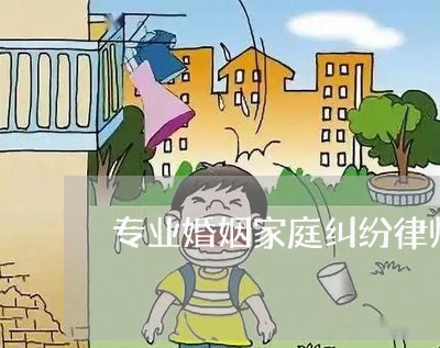 专业婚姻家庭纠纷律师处理方式/2023081285026