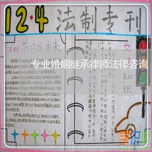 专业婚姻继承律师法律咨询/2023111460525