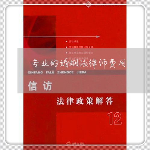 专业的婚姻法律师费用/2023112436306