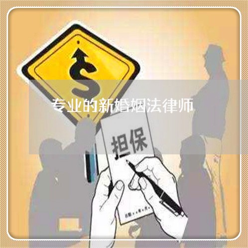 专业的新婚姻法律师/2023081354039