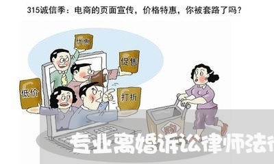 专业离婚诉讼律师法律咨询/2023111495038