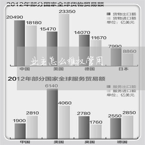 业主怎么维权管用/2023060336392