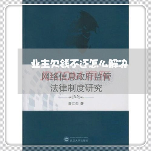 业主欠钱不还怎么解决/2023101664606