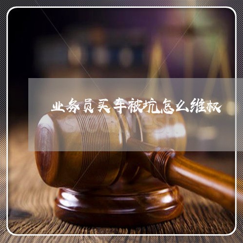 业务员买车被坑怎么维权/2023052395936