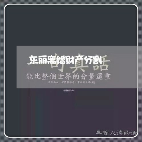 东丽离婚财产分割/2023100116250