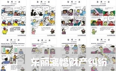 东丽离婚财产纠纷/2023100132505