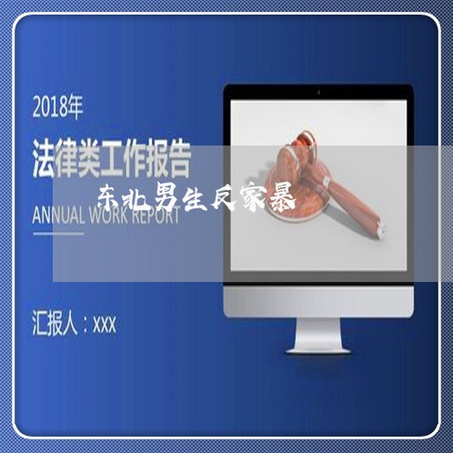 东北男生反家暴/2023090931582