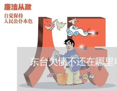 东台欠债不还在哪里申请支付令/2023120817059