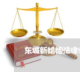 东城新婚姻法律师咨询免费/2023081393926