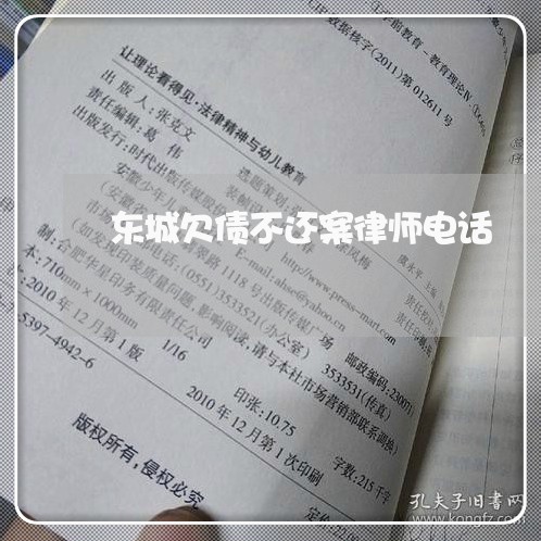 东城欠债不还案律师电话/2023111793926