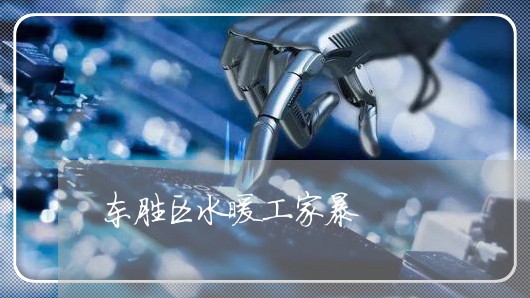 东胜区水暖工家暴/2023101468281