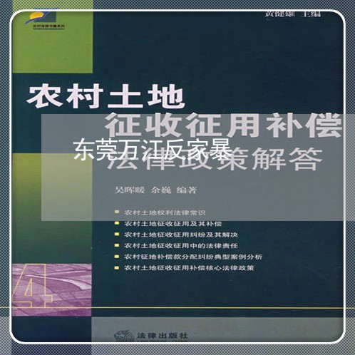 东莞万江反家暴/2023090763603