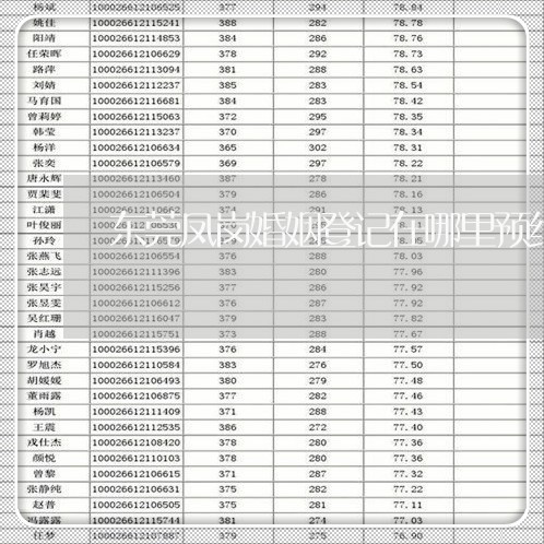 东莞凤岗婚姻登记在哪里预约/2023081718259