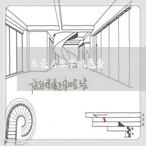 东莞启东学校退费/2023042940581