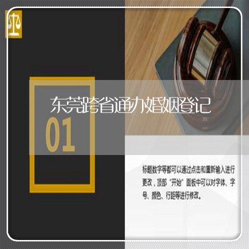 东莞跨省通办婚姻登记/2023112739271