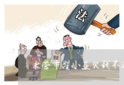 东营市翟小亚欠钱不还/2023092782625