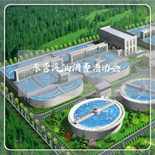 东营汽油消费者协会/2023060909361