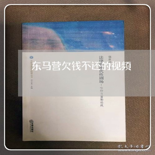 东马营欠钱不还的视频/2023112404928