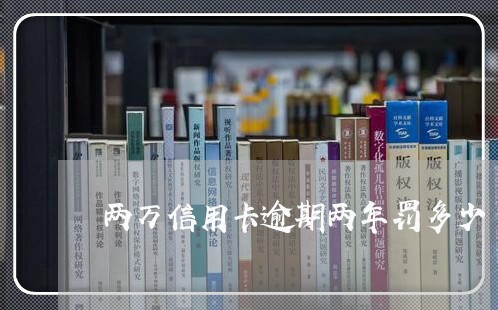 两万信用卡逾期两年罚多少/2023081287950