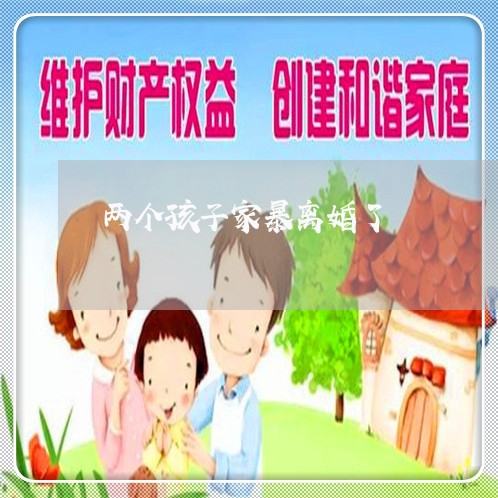 两个孩子家暴离婚了/2023110317267