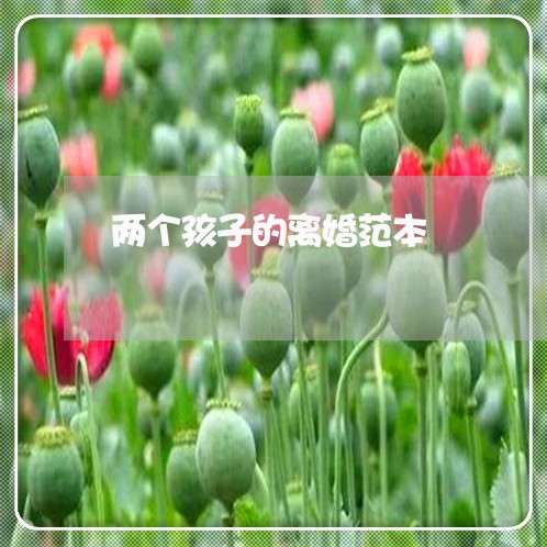 两个孩子的离婚范本/2023110504058