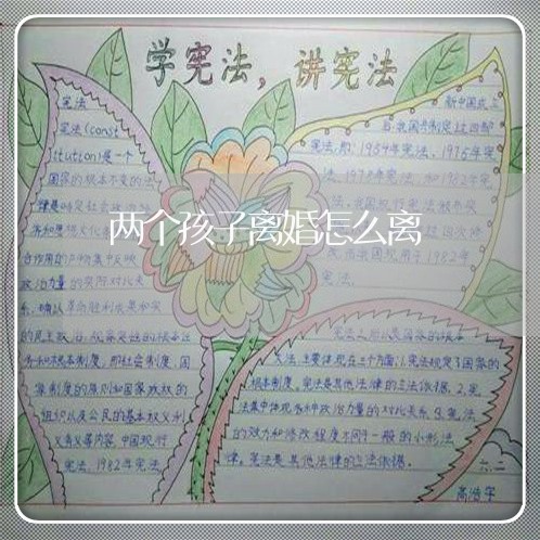 两个孩子离婚怎么离/2023110453714