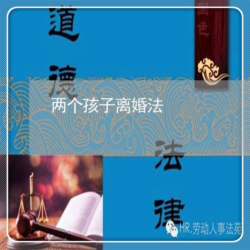 两个孩子离婚法/2023121613957