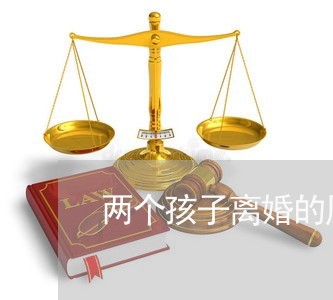 两个孩子离婚的原因/2023110527139