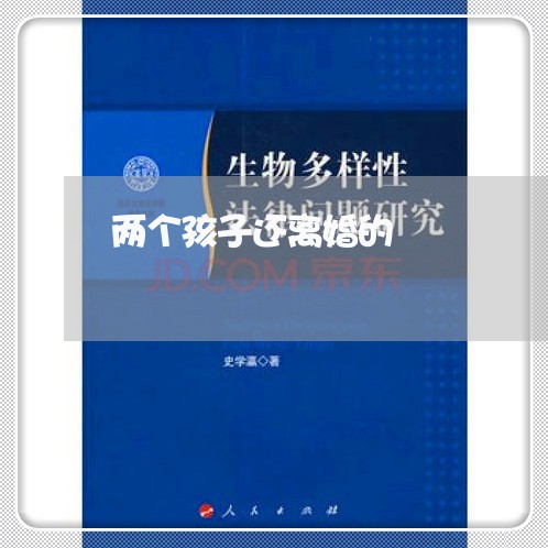 两个孩子还离婚的/2023093095226