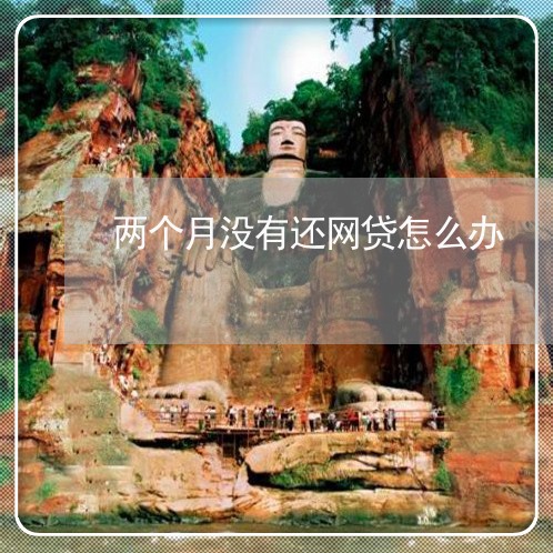 两个月没有还网贷怎么办/2023112356340