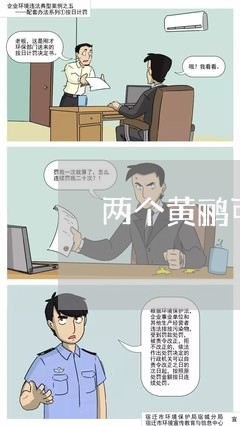 两个黄鹂可以退费吗/2023061416940