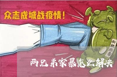 两兄弟家暴怎么解决/2023110676836