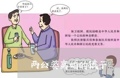 两公婆离婚的孩子/2023092863795