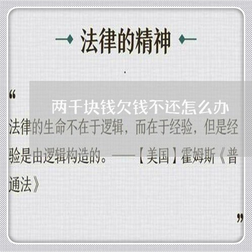 两千块钱欠钱不还怎么办/2023120593037