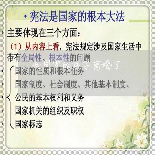 两周岁的孩子离婚了/2023110416039